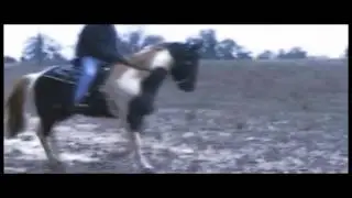 EPIC HORSE RIDING