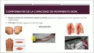 Clase Modelo Biomecánico
