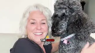 Mother&rsquo;s Day Pet Hack: Flea-Free, Radiant Fur & Calmer Pets with Breeze