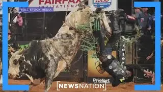 Bull rider J.B. Mauney purchases the bull that broke his neck, ended his career | Morning in America