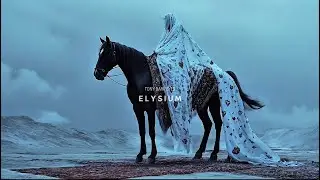 Tony Dark Eyes - Elysium | Official Reels Trending Audio