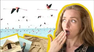 Sooo Many Flamings 🦩🦩🦩 | Gujarat Dholavira