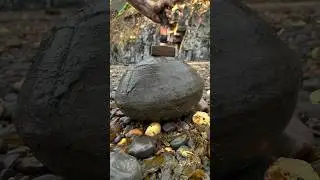 Exposing a perfect Jurassic Belemnite (Squid-like creature) which was in a large loose shale slab