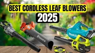 The 4 Best Cordless Leaf Blowers of 2025