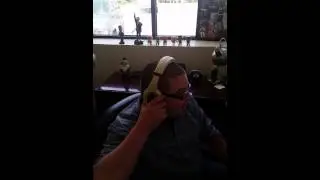 Headphones