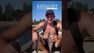 ВПЕЧАТЛЕНИЯ! #РЫБАЛКА НА #КЕФАЛЬ -  2025  #fishing
