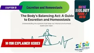 Chapter 13: Excretion and Homeostasis Explained | Biology IGCSE (10 Min Explainer)
