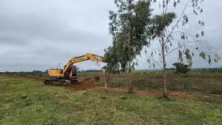 DESTOCA DE EUCALIPTO🌳 ESCAVADEIRA HIDRÁULICA - op Wagner