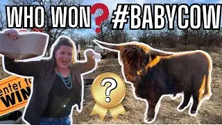 This Almost Didn't Happen! Farm Tour | #FarmLife #Babycow Contest Winner #ParagonRidgeRanch