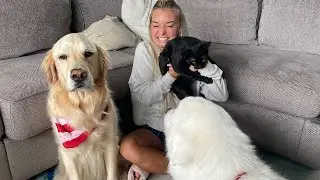 HOME ALONE WITH CHELS! (Super Cooper Sunday #265)