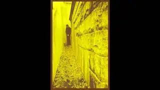 Blinding Sun (US) - Life's Joke (Demo 2020)