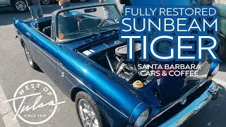 Into the Wild: Sunbeam Tiger Restoration Showcase
