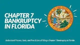Chapter 7 Bankruptcy Florida: Cost and Qualification in 2021