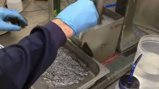 Magnis Graphite Flotation Process