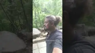 #palaruvi #thenmala #forest #kerala