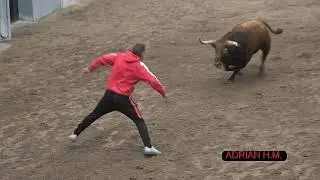 Massalfassar(V) 20-11-2021 Suelta de 4 Toros Cerriles de El torero, J.L.Pereda y Gerardo Ortega.