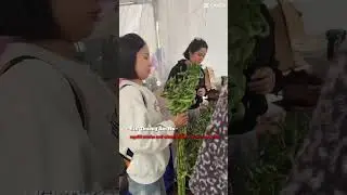 chợ hoa ng&agrave;y tết qu&ecirc; em