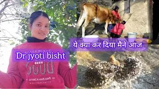  Finallyडॉक्टर बन ही गय👩‍⚕️आज हुआ सपना पूरा😍#phadivibes #pahadilifestyle 