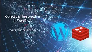 Object caching practices in WordPress