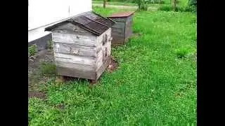 VID 20140520 175351