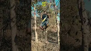 Day-147 Fitness Journey.#running #fitness #healthcare #gym #gymlover #motivation #viral #backworkout