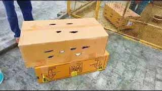 1️⃣ Amritsar Punjab se Kashipur 🚚 | Nadu Bhai Ki Zabardast Delivery Journey 🔥