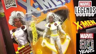TOY HUNTING-NEW MARVEL 80 YEARS HASBRO MARVEL LEGENDS STORM & MORE!