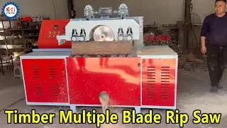 Affordable Timber Multiple Blade Rip Saw Machine with Good Price