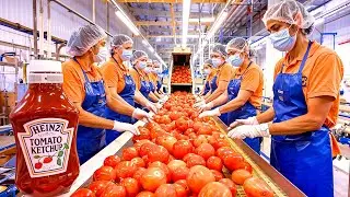 How Tomato Ketchup Is Made In Factories