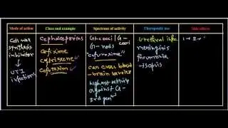 Cephalosporin antibiotic