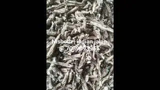 indian jalap #shorts #shortvideo  #ayurveda #organic #nature #food #medicine #herbal