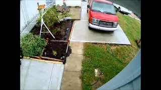 Logitech Alert Video Security System really works.