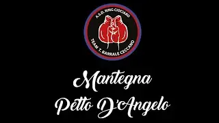 Boxe Antonio Gualtieri Vs Luigi (Petto D'angelo) Mantegna, Catanzaro Calabria Italia 11.07.2021