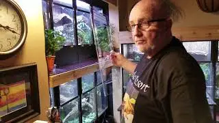 Now selling I Heart Geckos acrylic cage fronts