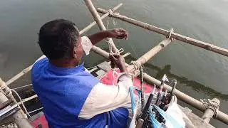 Best Fish Trap for River Fishing 🎣 | Top Fishing Trap to Catch More Fish