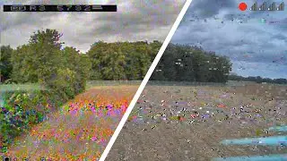 HDZero/Sharkbyte vs Analog FPV side-by-side on 25 mW (same quad, same goggles, same flights)