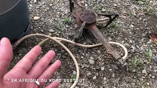 Réchauffer ses aliments