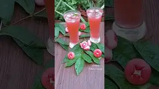 Water Apple Juice Recipe/Kanyakumari Special Jambaka Juice Recipe/#shortsvideo/#shorts
