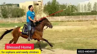 Day 2 | Mariners Saddle Club | Blessed Home | #blessedhomelahore #orphancare #orphansupport