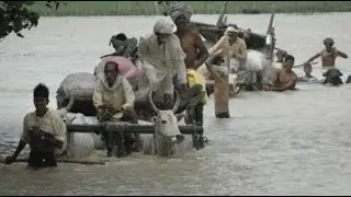 Flood situation in UP continues unabated, over 3 lakh people affected