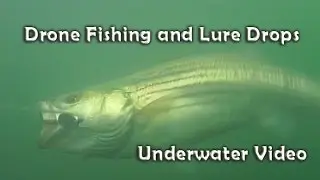 Drone Fishing Lure Drops - Underwater Video