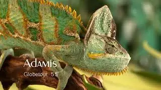 Adamis - Globetour 55 *** AGT55 *** progressive trance mix