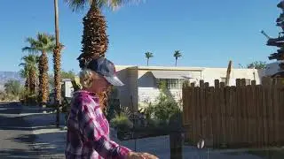 The cutest RV park, most of them are small, vintage RVs in Borrego Springs!