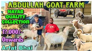 Pathankot Vilayati Mende & Barbare Bakre in Kalyan #youtubevideos #viralvideo @AsimShaikh 