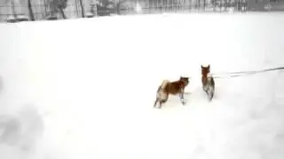 20110117 0726 a086492050ffa5d76dbc06742542cae8