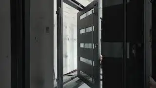 IWD modern pivot door black