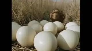 The Future is Wild (Animal Planet version) - Amazon Grassland