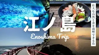 【壮大な自然と食を満喫できる島】江ノ島旅 4K