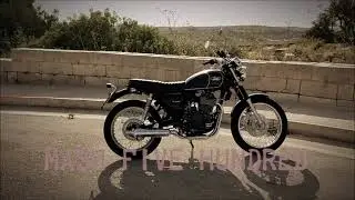 Mash Five Hundred Black