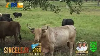 Jerusalen lista para el 20 de enero de Sincelejo.